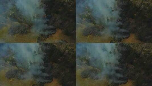 森林火灾航拍高清在线视频素材下载