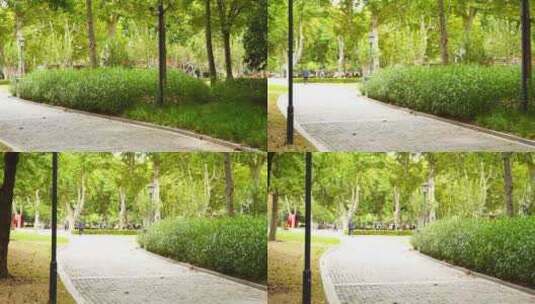 公园 盛夏 公园绿化高清在线视频素材下载