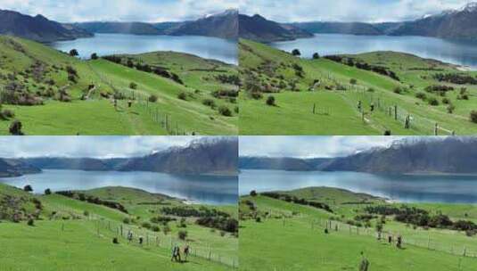 新西兰瓦纳卡湖草原湖泊雪山徒步航拍高清在线视频素材下载