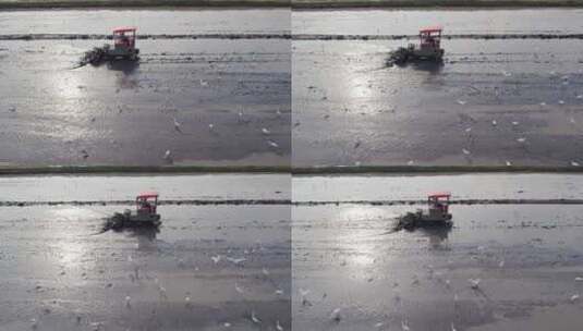 春天农村田野农用机械一群白鹭高清在线视频素材下载
