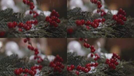 暴雪天掉落的红野果高清在线视频素材下载