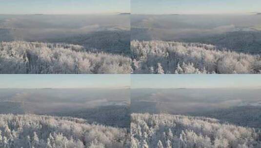 航拍冬季森林景观高清在线视频素材下载