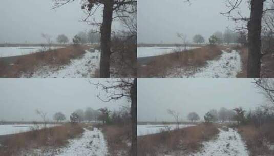 被大雪覆盖的森林鹅毛大雪雾凇高清在线视频素材下载