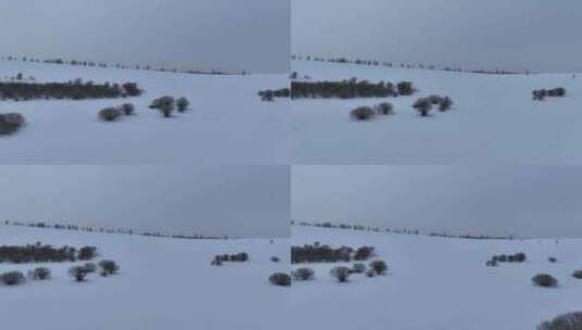 航拍呼伦贝尔疏林雪原风光高清在线视频素材下载