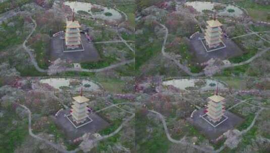 湖北省武汉市东湖磨山樱花园五重塔日落航拍高清在线视频素材下载