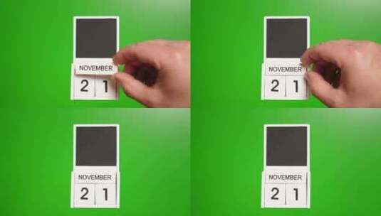11.绿色背景上日期为11月21日的日历高清在线视频素材下载