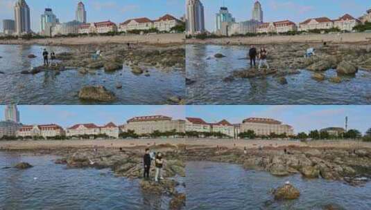 海岸线海边海鸥高清在线视频素材下载