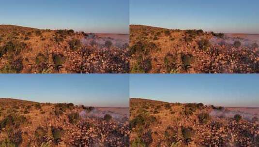 非洲当地社区成员协助平息农村地区的野火事高清在线视频素材下载