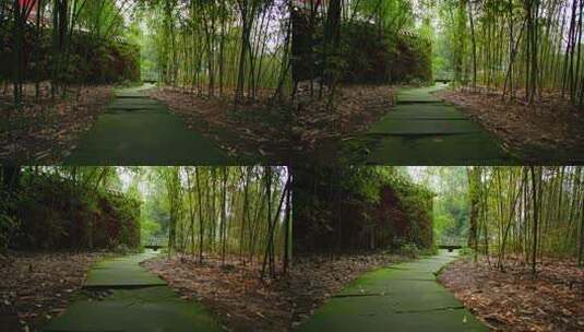 幽静公园竹林小路漫步高清在线视频素材下载