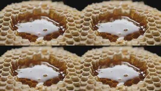 蜂巢中的蜂蜜微距特写高清在线视频素材下载