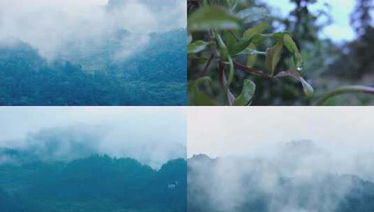 雨季大山云雾缭绕延时摄影高清在线视频素材下载