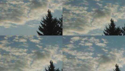 高清实拍云和树木高清在线视频素材下载
