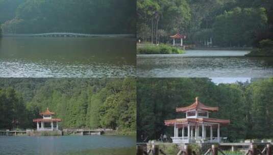 深圳东湖公园长桥亭子视频高清在线视频素材下载