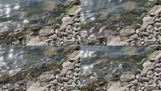 河岸边石头河流高清在线视频素材下载