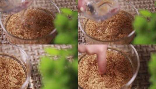 【镜头合集】浸泡高粱燕麦制作粗粮饭高清在线视频素材下载