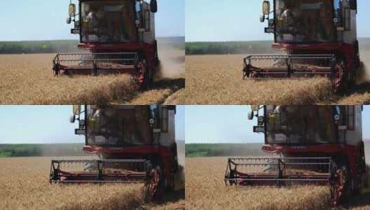 农村农业国家粮食小麦成熟收割高清在线视频素材下载
