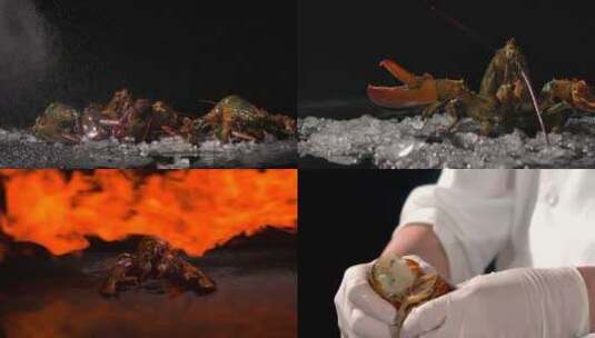 龙虾 鲜活大龙虾 波士顿龙虾 龙虾刺身高清在线视频素材下载