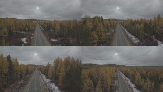 俄罗斯西伯利亚森林公路平原高清在线视频素材下载