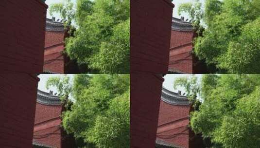 洛阳白马寺国际佛殿泰国寺庙古建筑光影高清在线视频素材下载