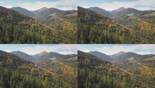 鸟瞰山谷中的森林高清在线视频素材下载