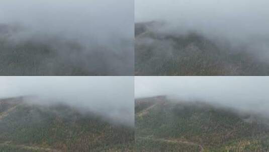 航拍秋季大兴安岭原始森林雨雾高清在线视频素材下载