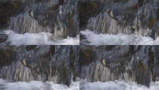 韩国五台山秋景 山泉水冲刷溪石落叶 组镜高清在线视频素材下载