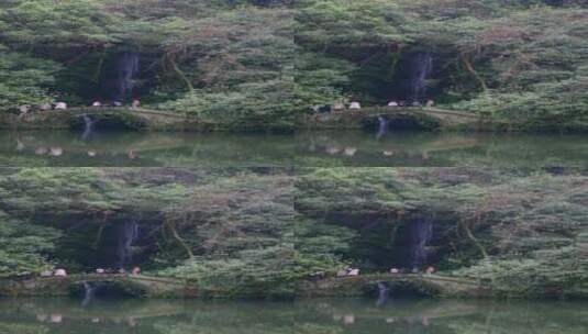 杭州九溪烟树瀑布高清在线视频素材下载