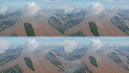 珠江三角洲冲积平原水松林航拍高清在线视频素材下载