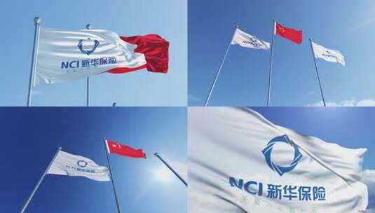 新华人寿保险股份有限公司旗帜高清在线视频素材下载