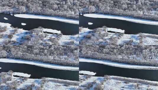 内蒙古雪原扎敦河丛林雾凇高清在线视频素材下载