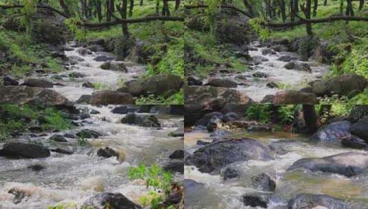 【合集】实拍森林山泉水 溪水 河流高清在线视频素材下载