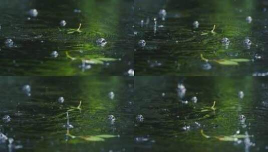 雨滴落下 下雨 雨 水面涟漪 下雨意境空镜高清在线视频素材下载