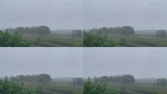 下雨天树林农田高清在线视频素材下载