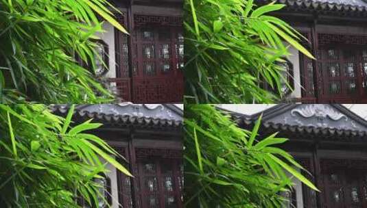 绿竹与中国风园林建筑 4K高清在线视频素材下载