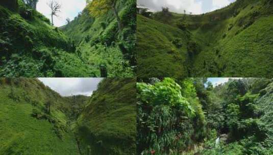 森林小溪河流森林山间溪流小溪雨林航拍高清在线视频素材下载