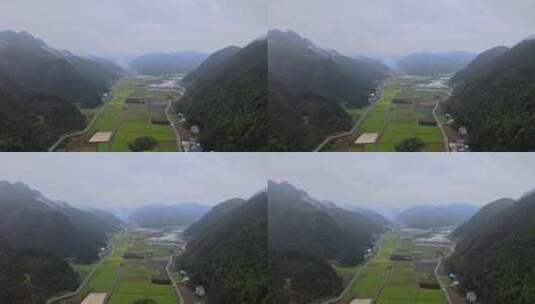 稻田里的村庄高清在线视频素材下载
