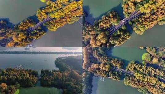 中国杭州西湖杨公堤秋日美景（合集）高清在线视频素材下载