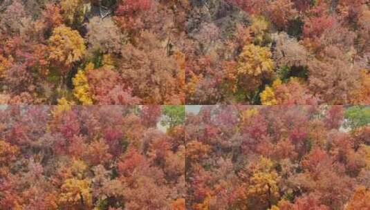 苏州天平山风景区航拍02高清在线视频素材下载