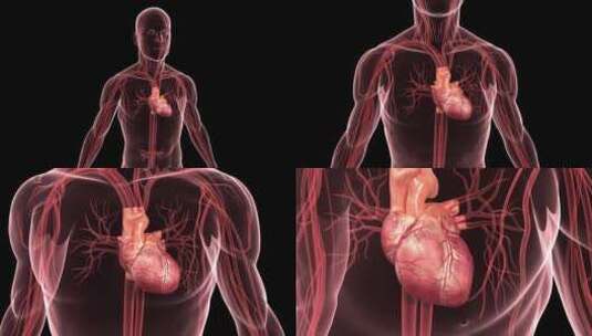 心跳3d动画设计高清在线视频素材下载