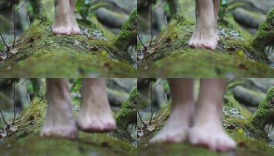女性脚踩在森林布满苔藓的树干上高清在线视频素材下载