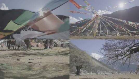 西藏空镜高清在线视频素材下载