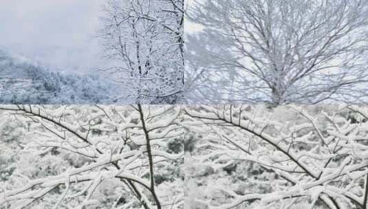 冬雪  雪景高清在线视频素材下载