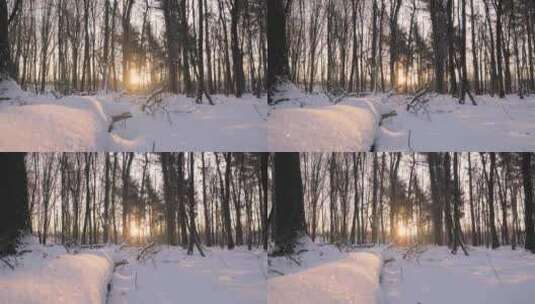 特写森林深处雾凇后的景象大雪茫茫高清在线视频素材下载