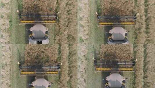 农村和农业飞行从高空看油菜收获联合收割机高清在线视频素材下载