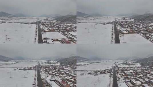 松树雪景 大雪 小雪 暴雪高清在线视频素材下载