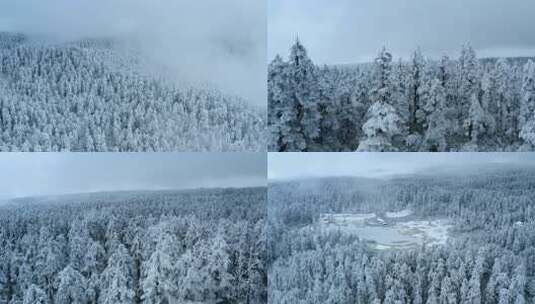 林海雪原 大雪覆盖的森林 冷杉林被雪覆盖高清在线视频素材下载