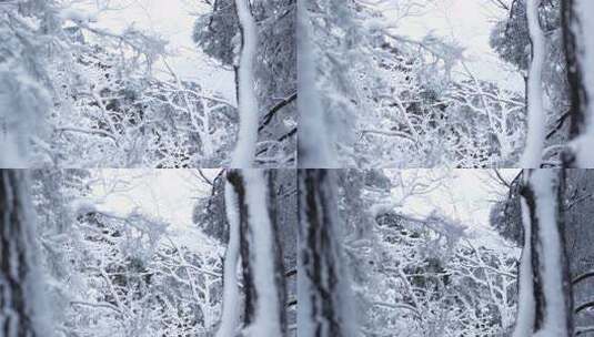 伏牛山冬季雪景雾凇高清在线视频素材下载