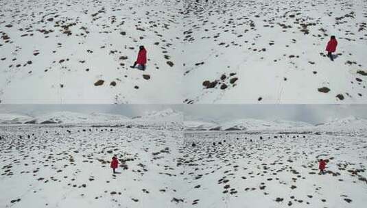 青海拉脊山雪景红衣男子航拍视频高清在线视频素材下载