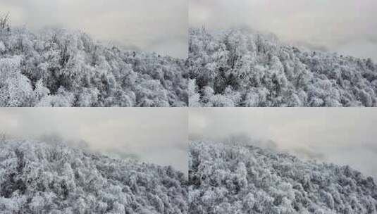 西岭雪山 雪景 大雪覆盖的自然风光 航拍高清在线视频素材下载