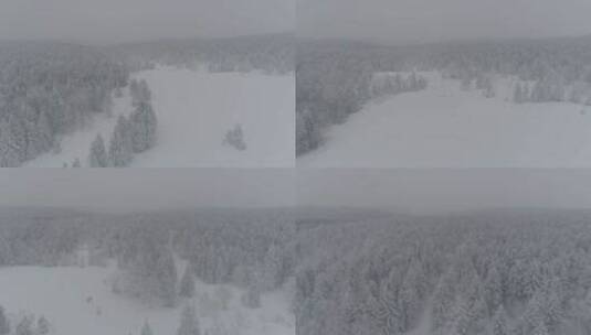 震撼大气唯美长白山冬季雪景厚厚积雪高清在线视频素材下载